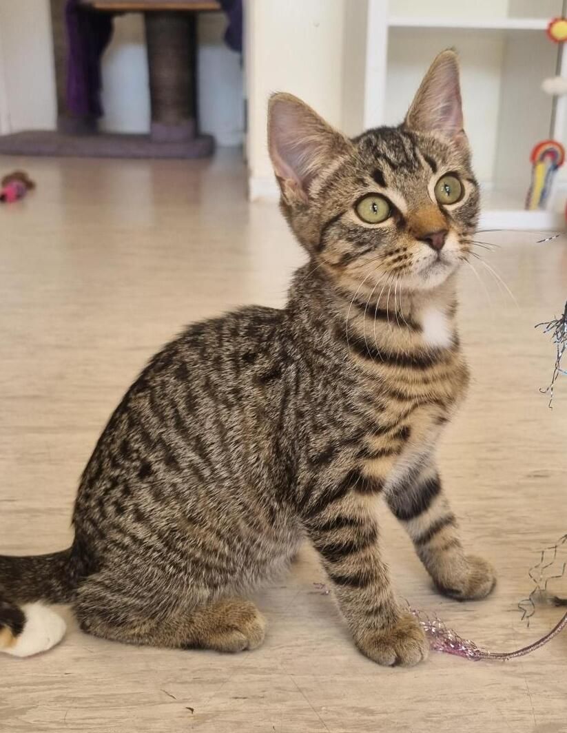 Gallery image: Miley