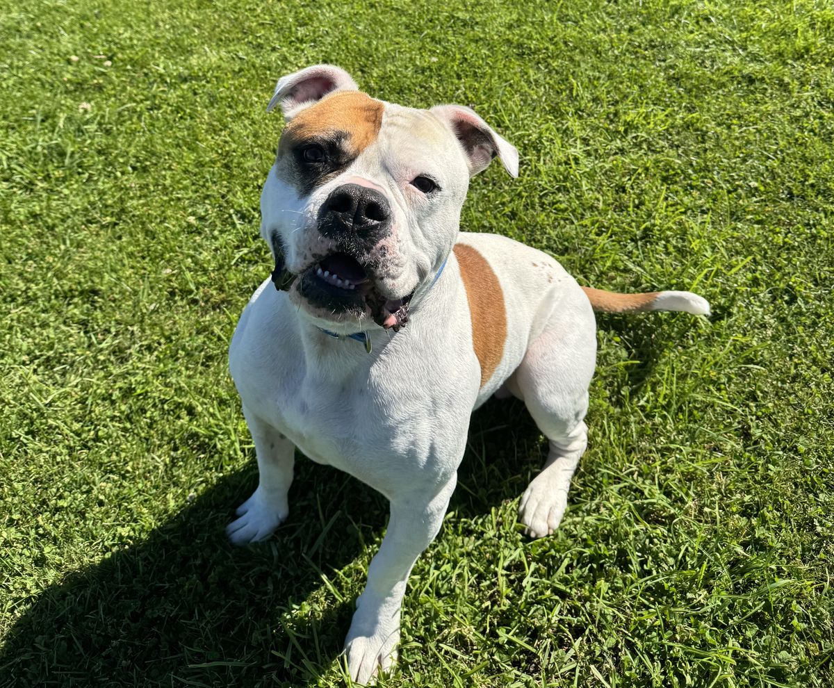 Gallery image: Franky