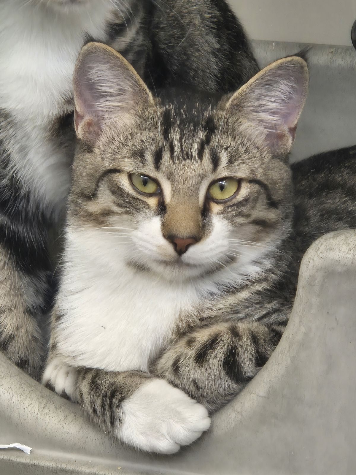 Gallery image: Peter