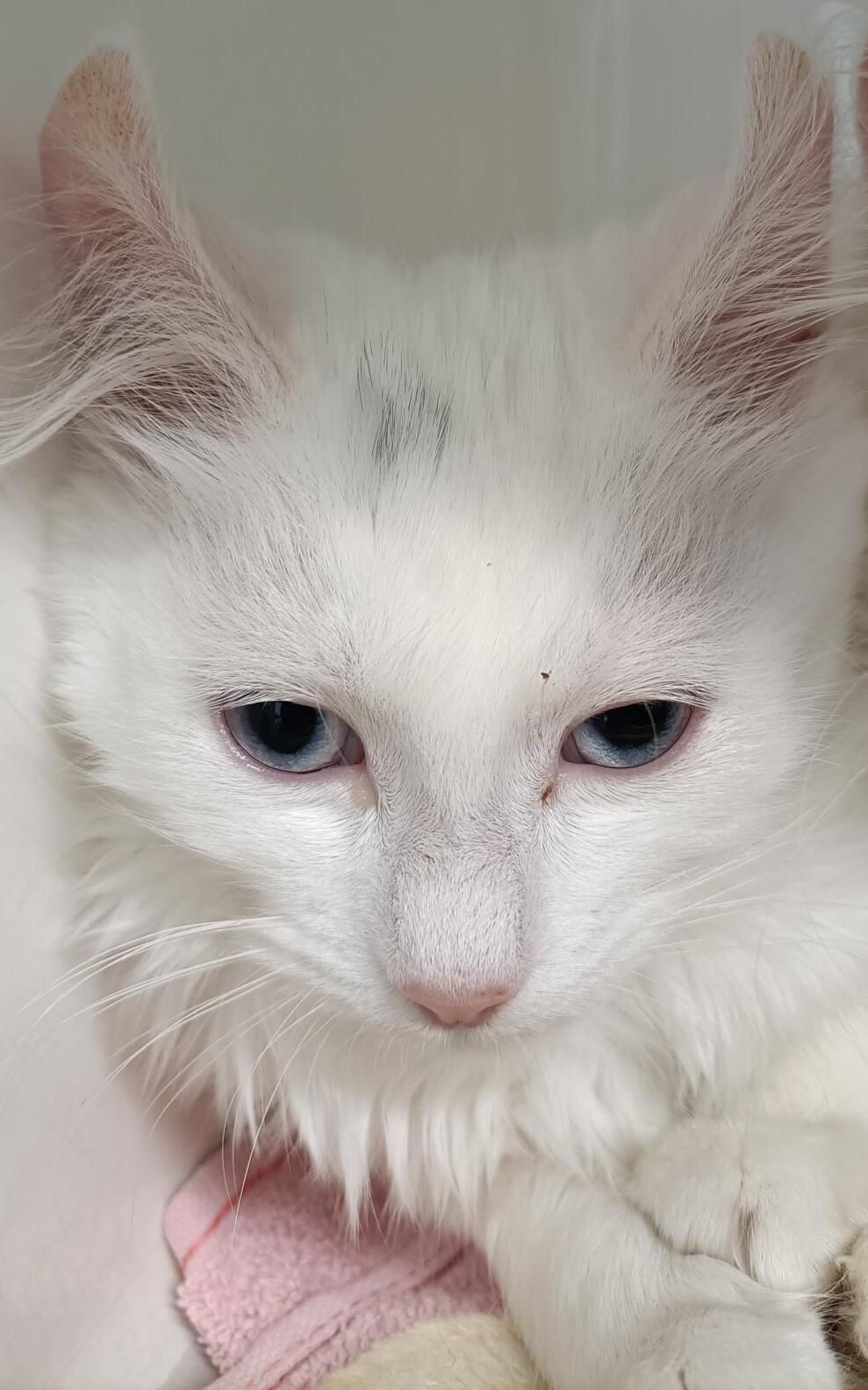 Gallery image: Barbie