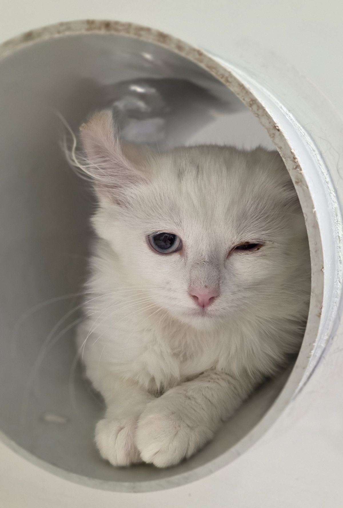 Gallery image: Barbie