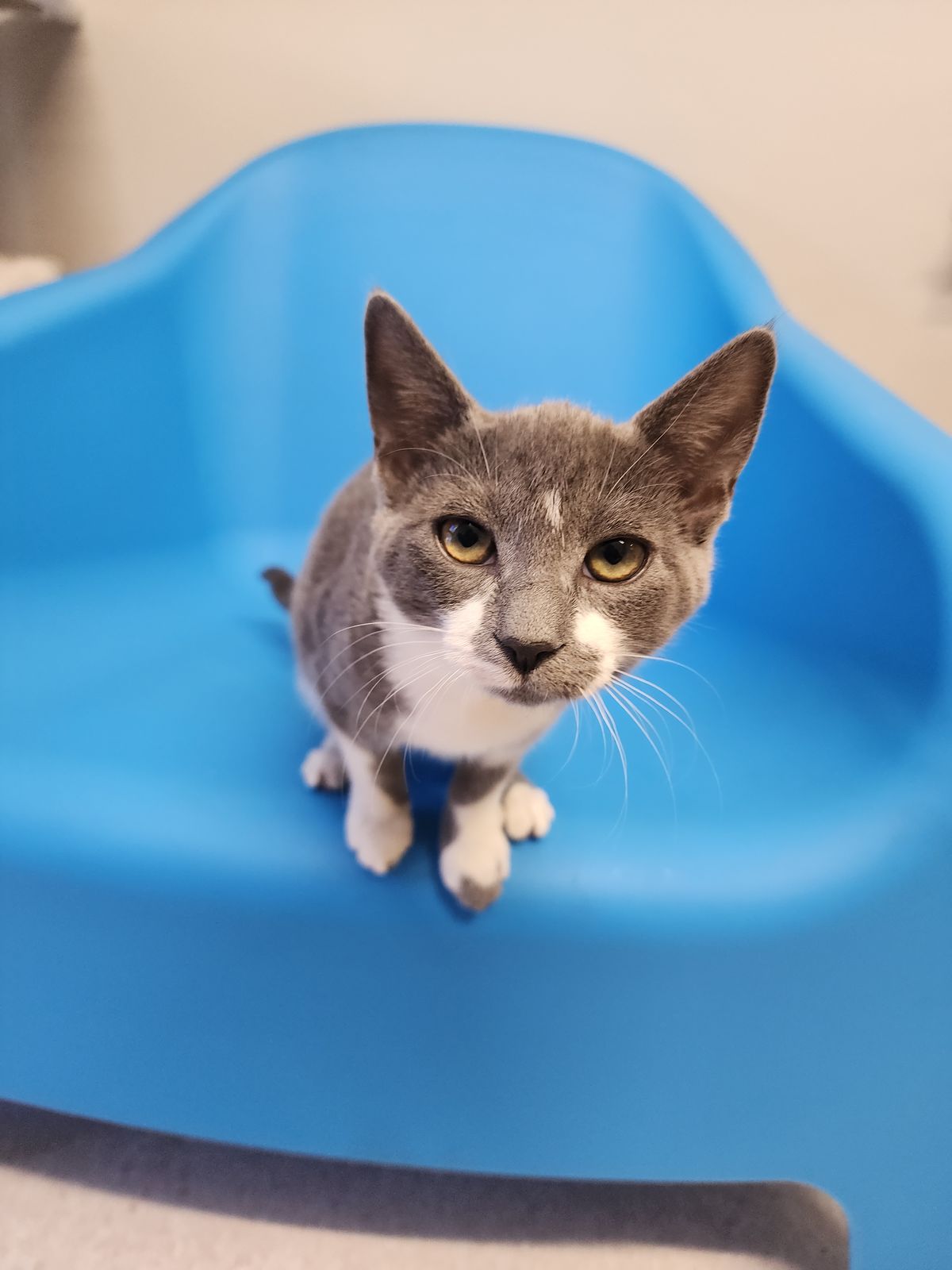 Gallery image: Misty