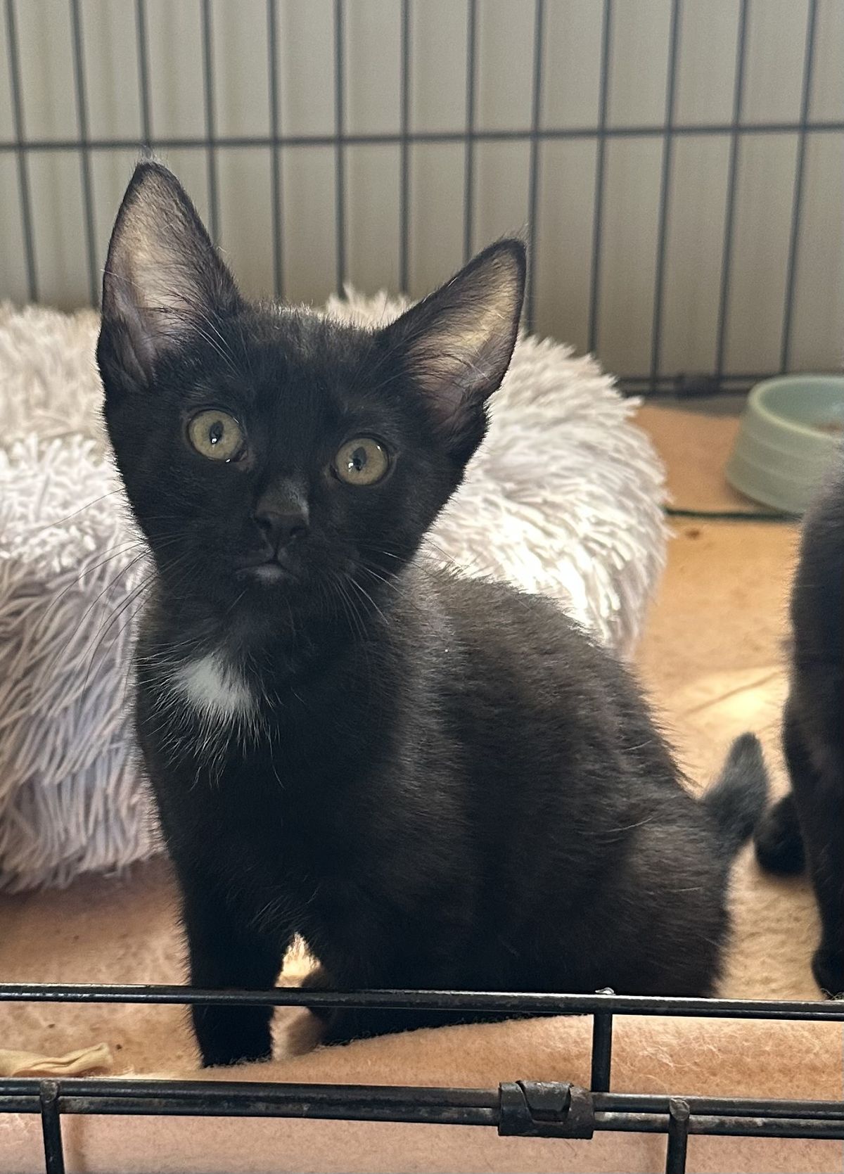 Gallery image: Jamba