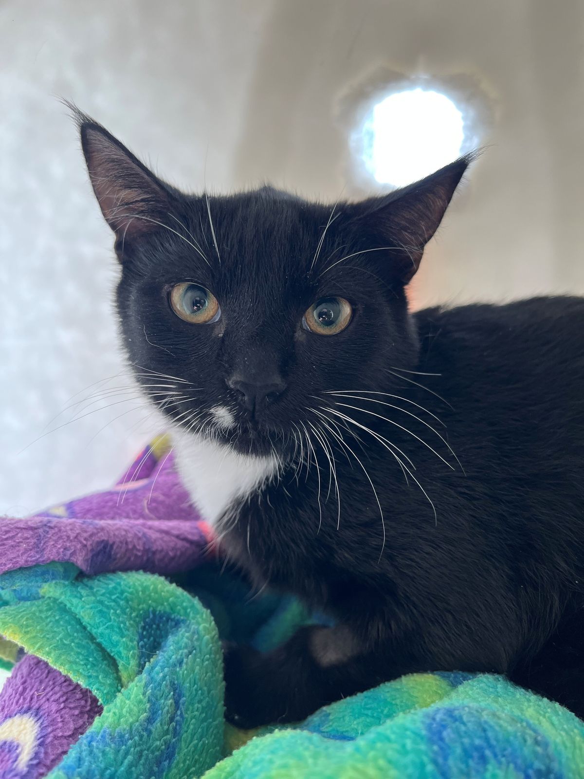 Gallery image: Quiver