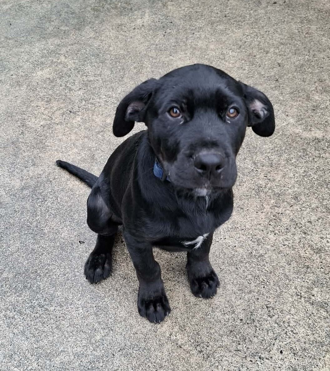 Gallery image: Cyprus