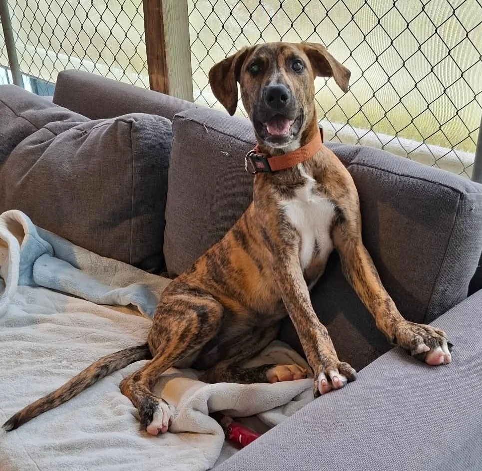 Gallery image: Winter