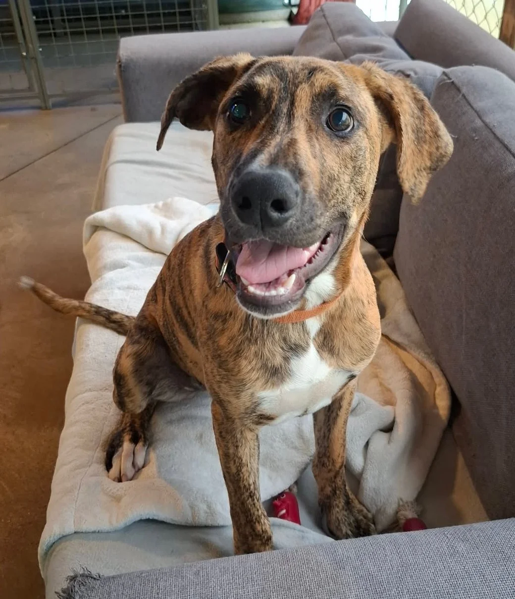 Gallery image: Winter