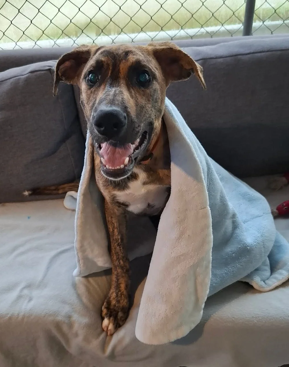 Gallery image: Winter