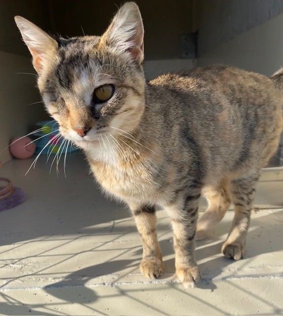 Gallery image: Princess