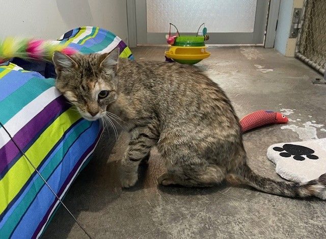 Gallery image: Princess