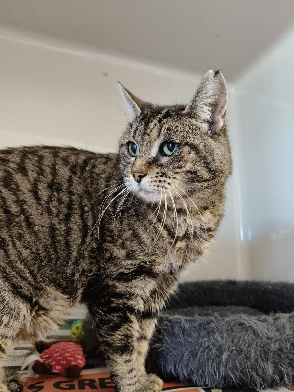 Gallery image: Blanche