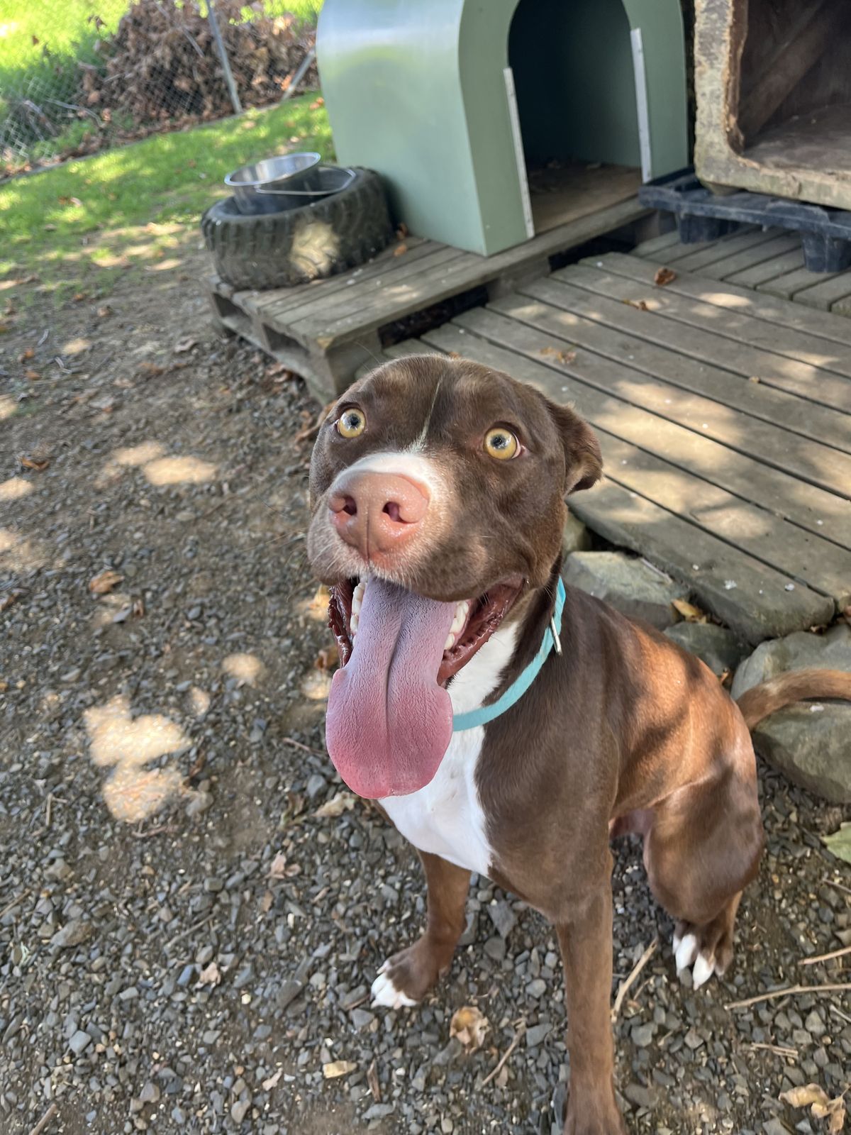 Gallery image: Titan