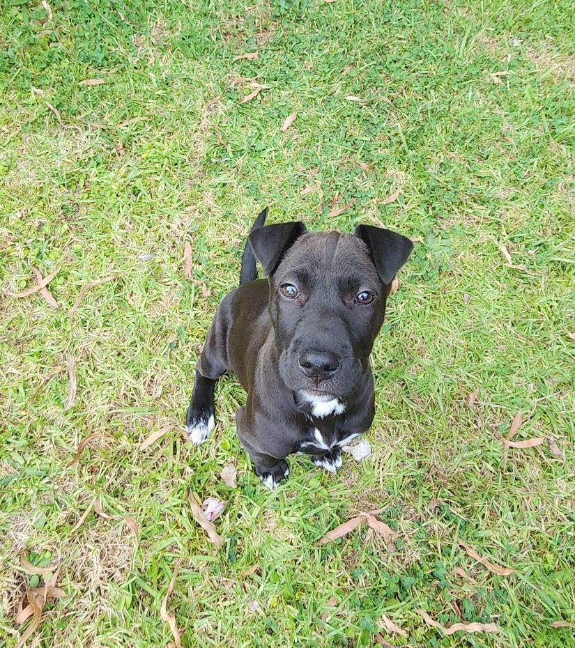 Gallery image: Tilly