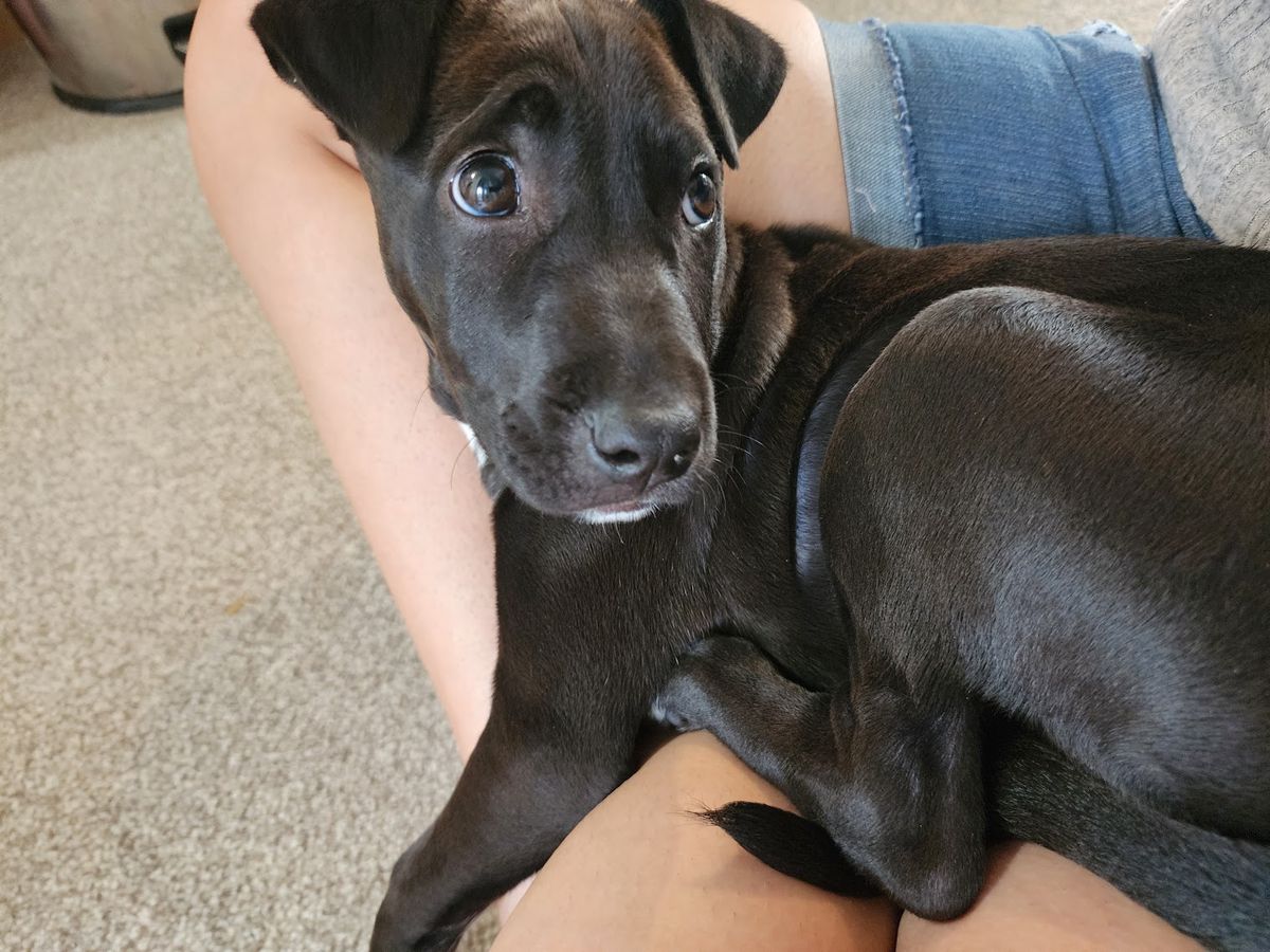 Gallery image: Tilly