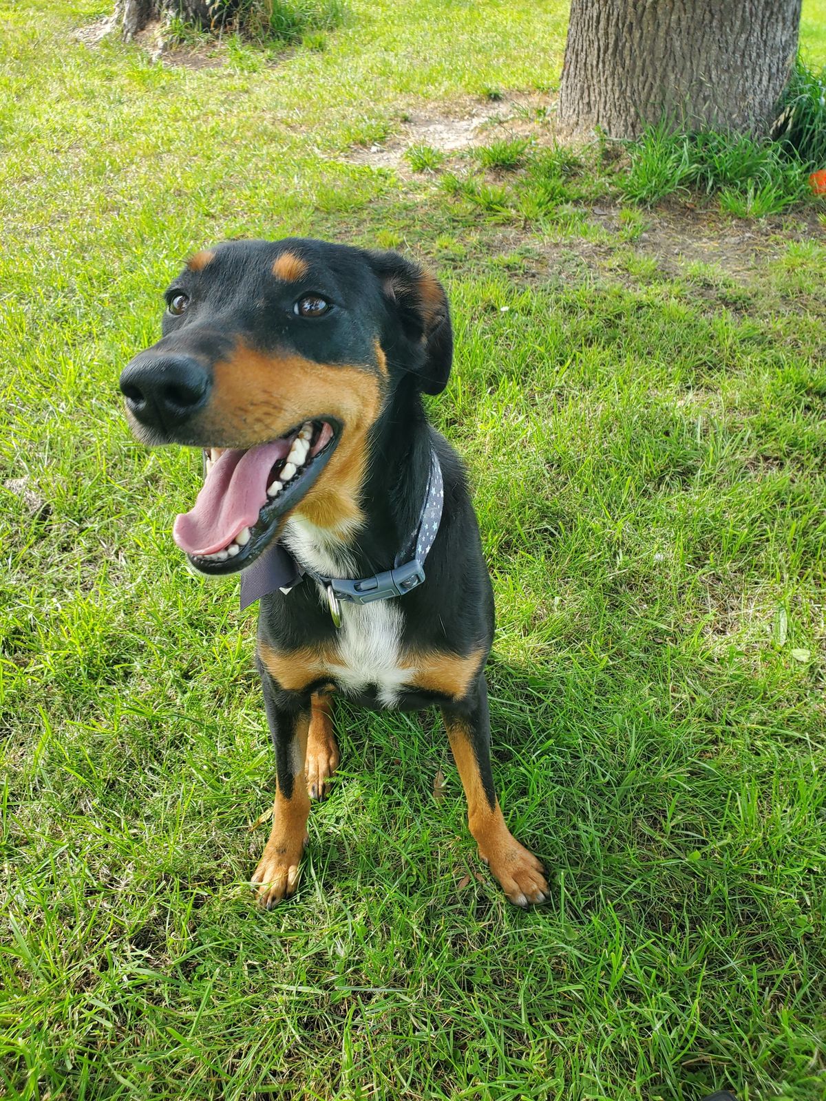 Gallery image: Letti