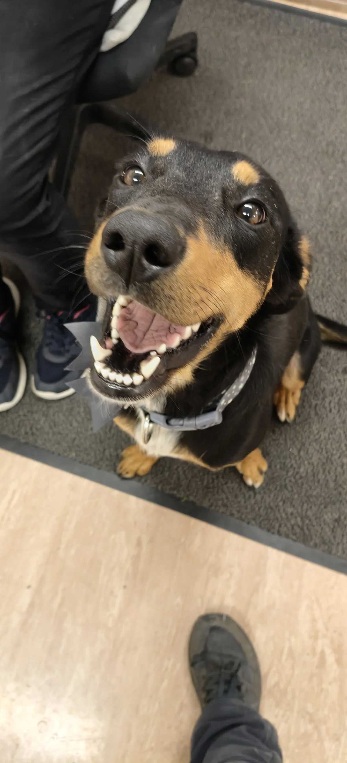 Gallery image: Letti