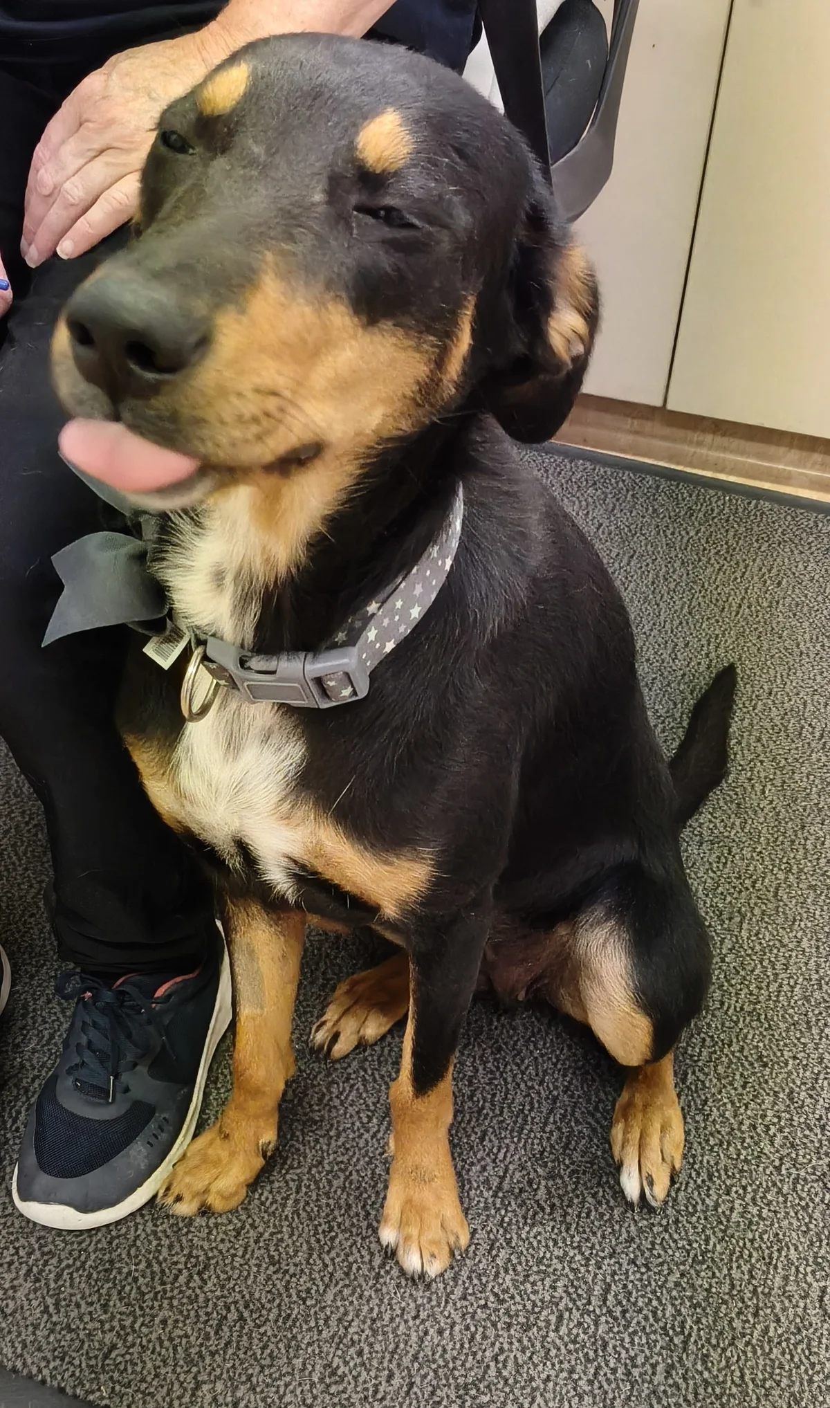 Gallery image: Letti