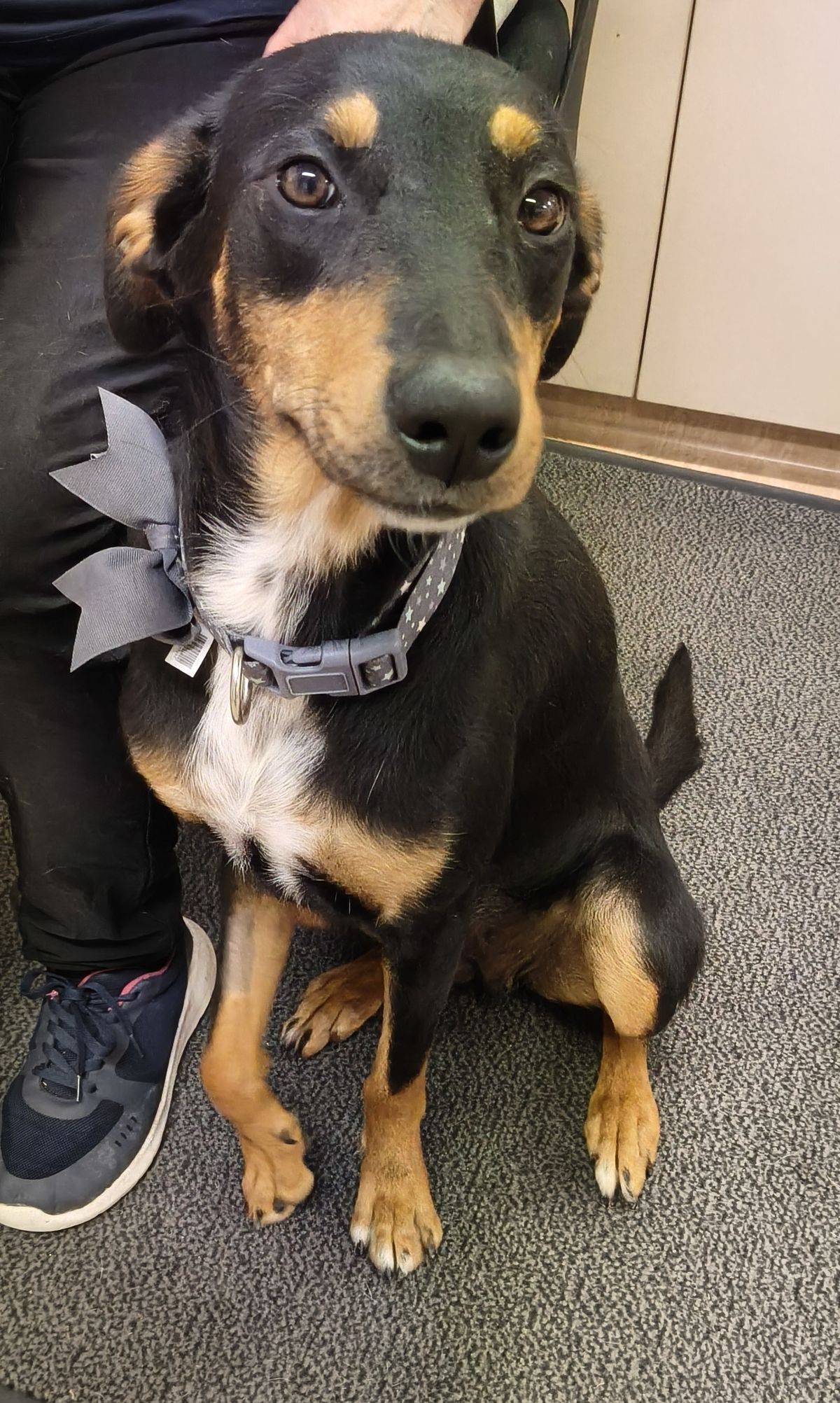 Gallery image: Letti