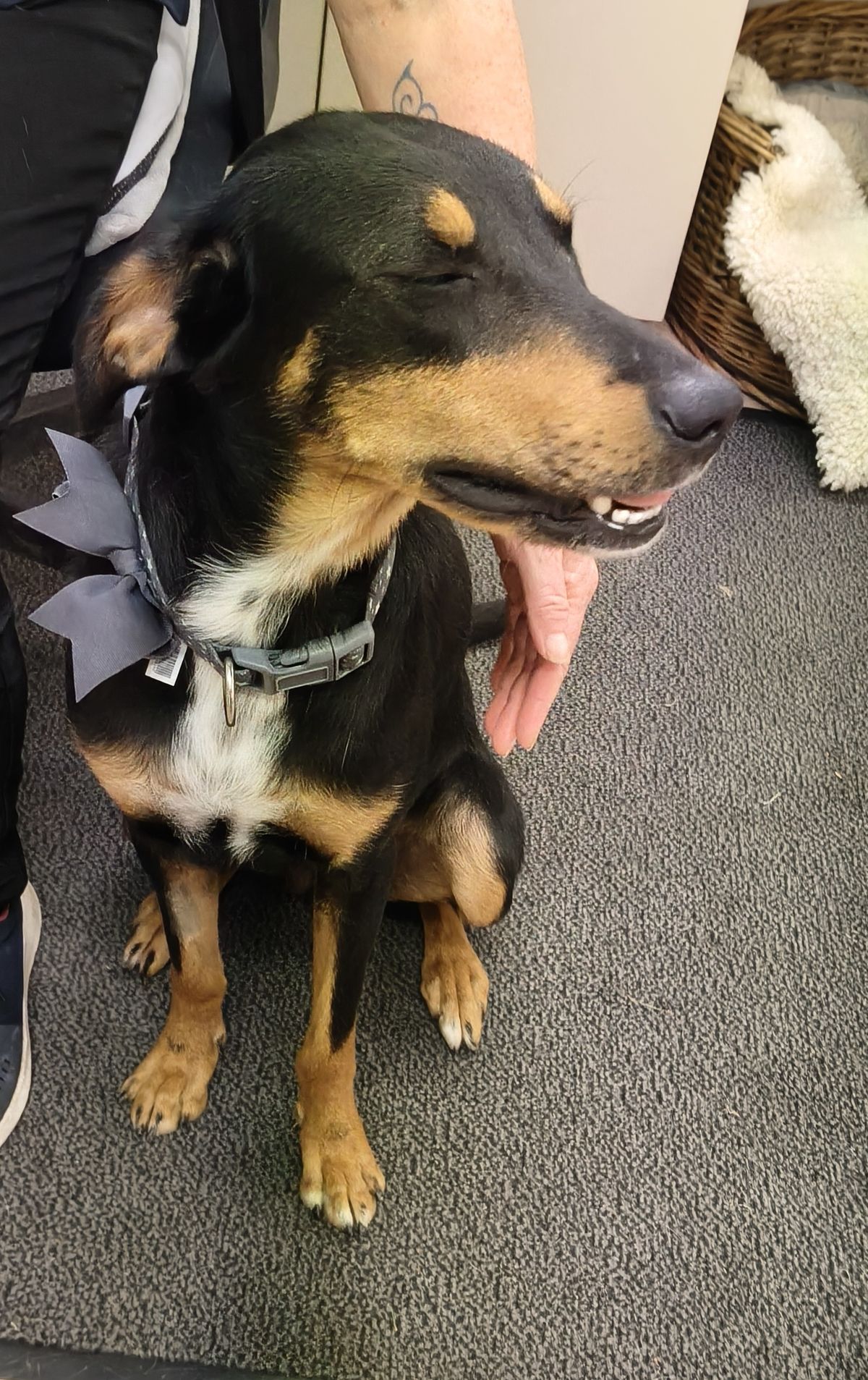 Gallery image: Letti