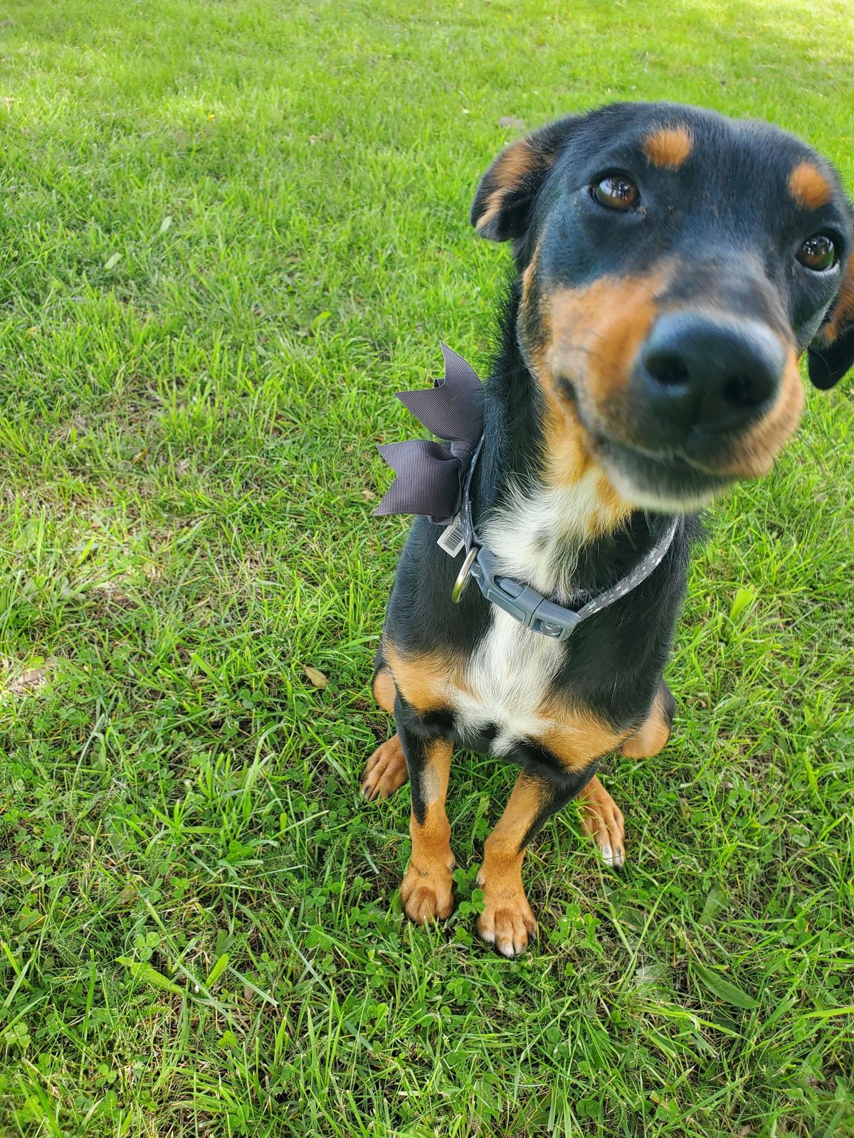 Gallery image: Letti