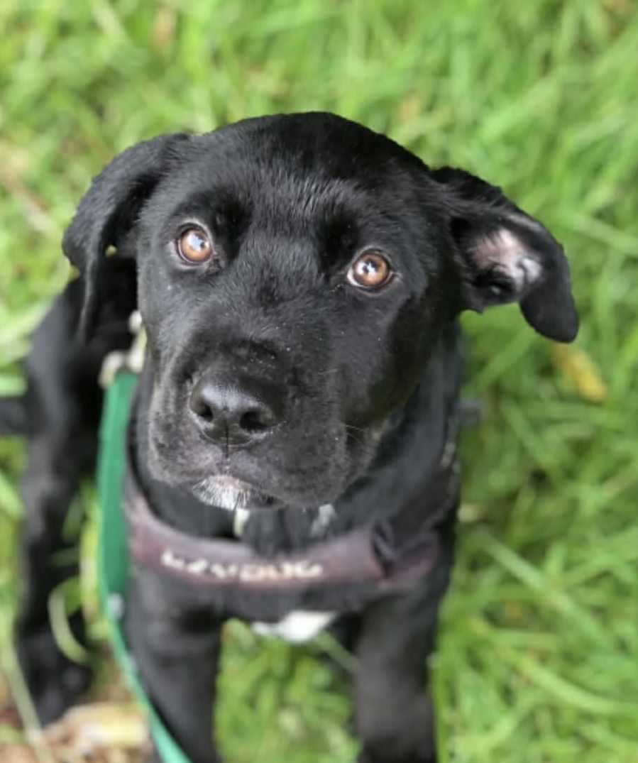 Gallery image: Cyprus