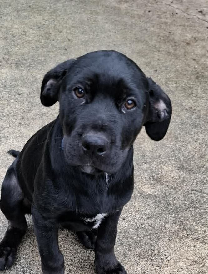 Gallery image: Cyprus