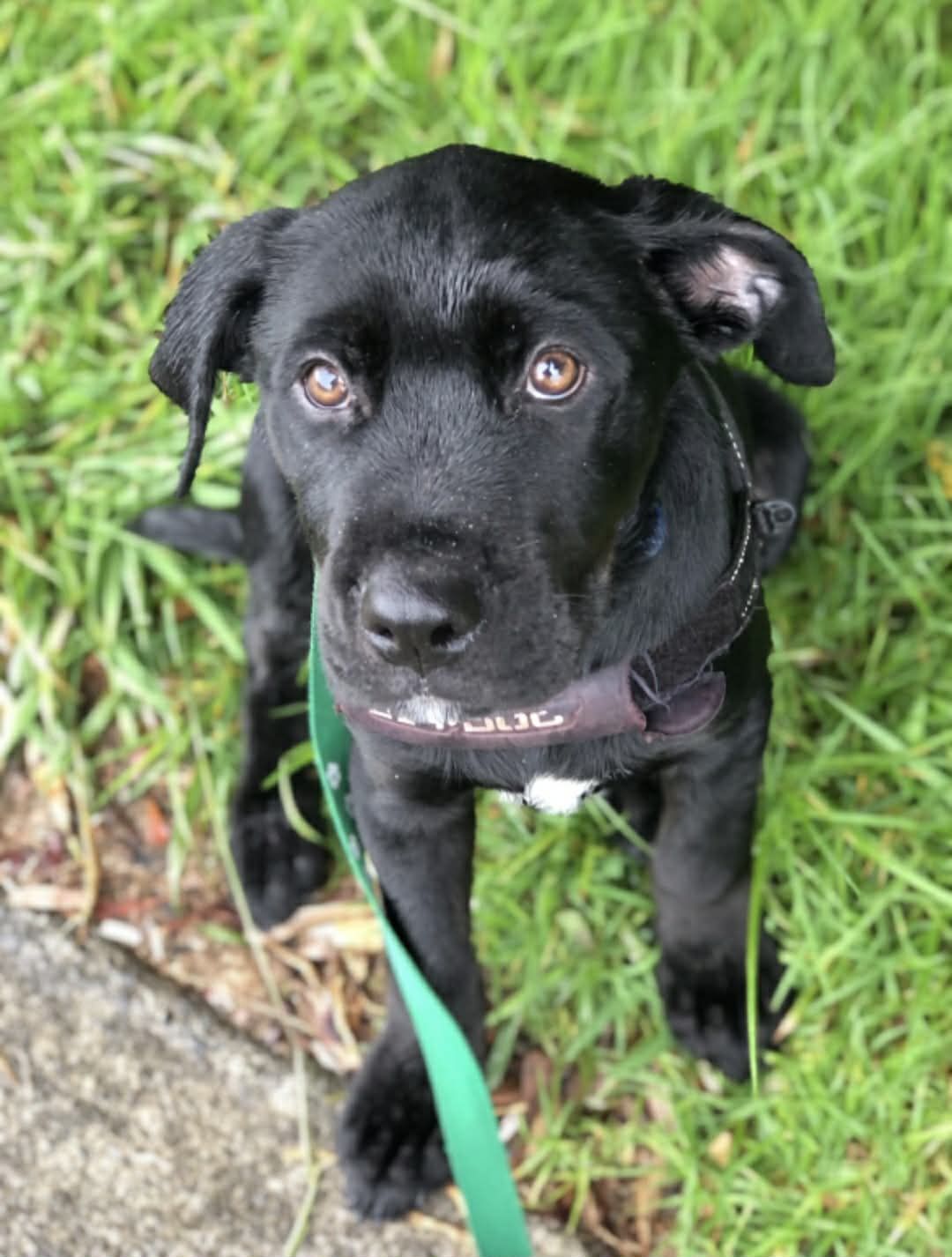 Gallery image: Cyprus