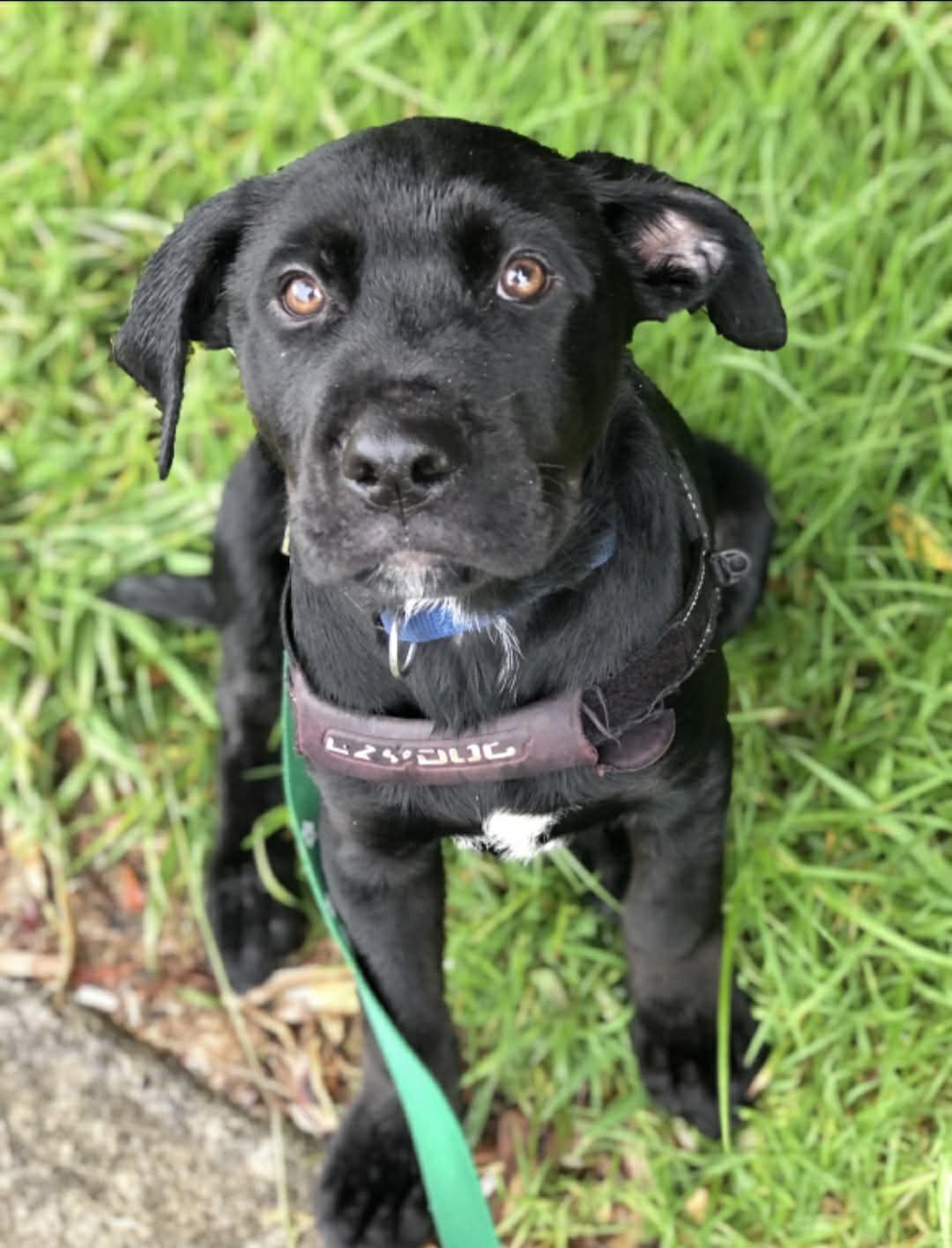 Gallery image: Cyprus