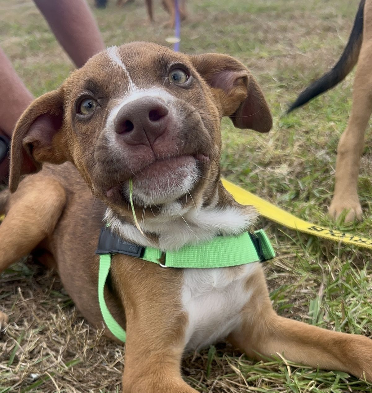 Gallery image: Jersey 