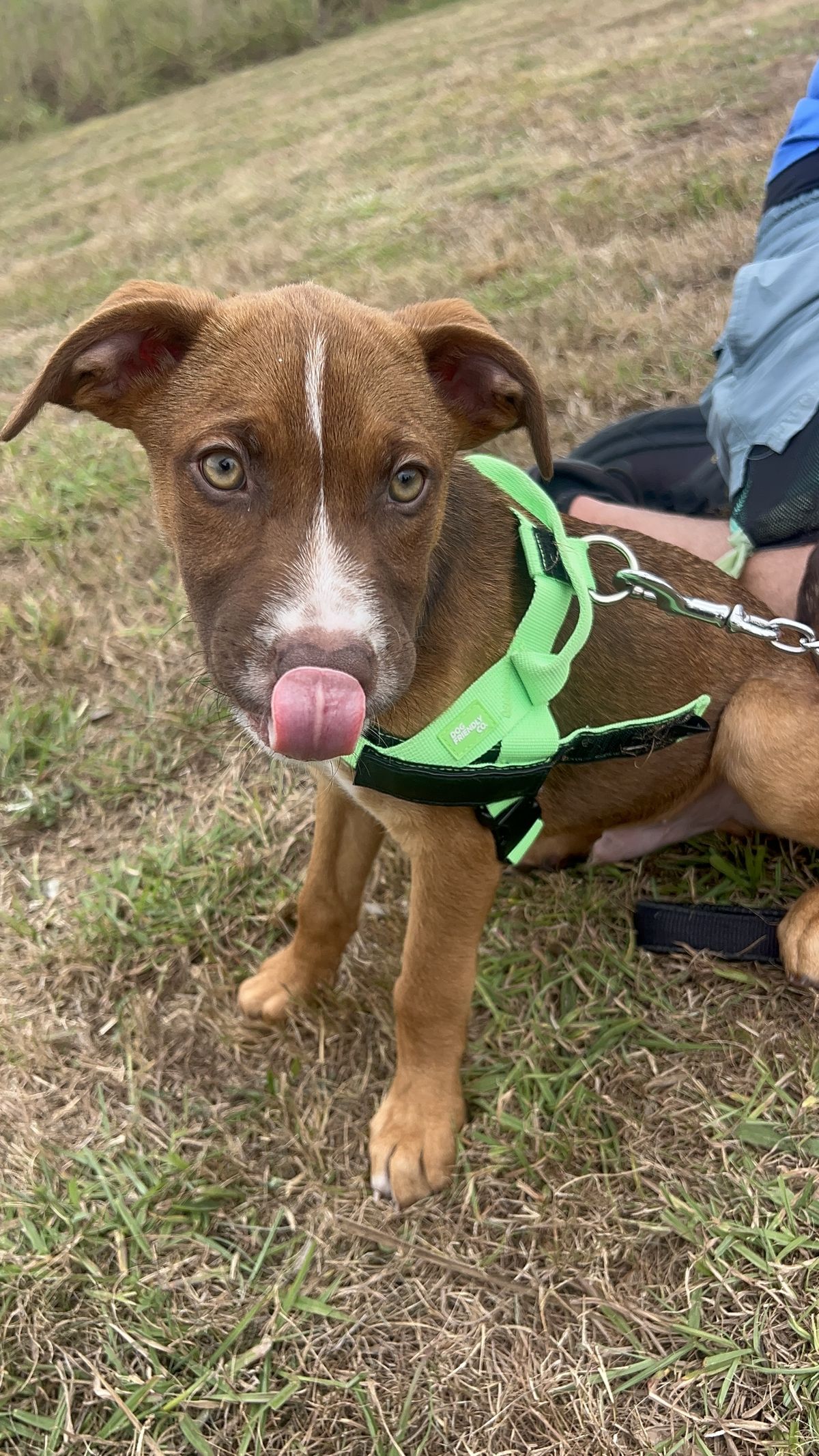 Gallery image: Jersey 