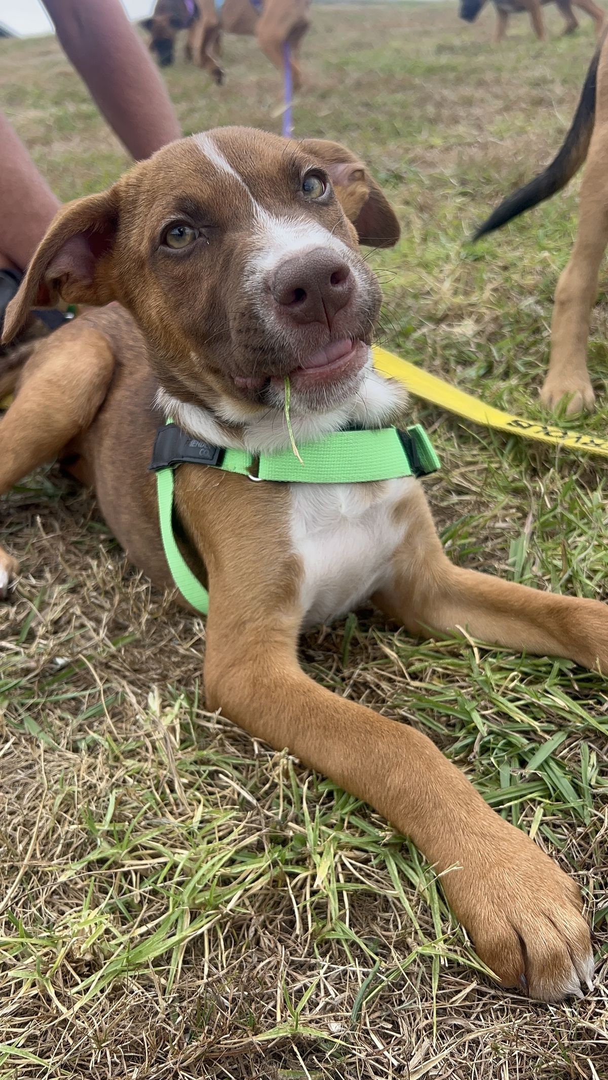 Gallery image: Jersey 