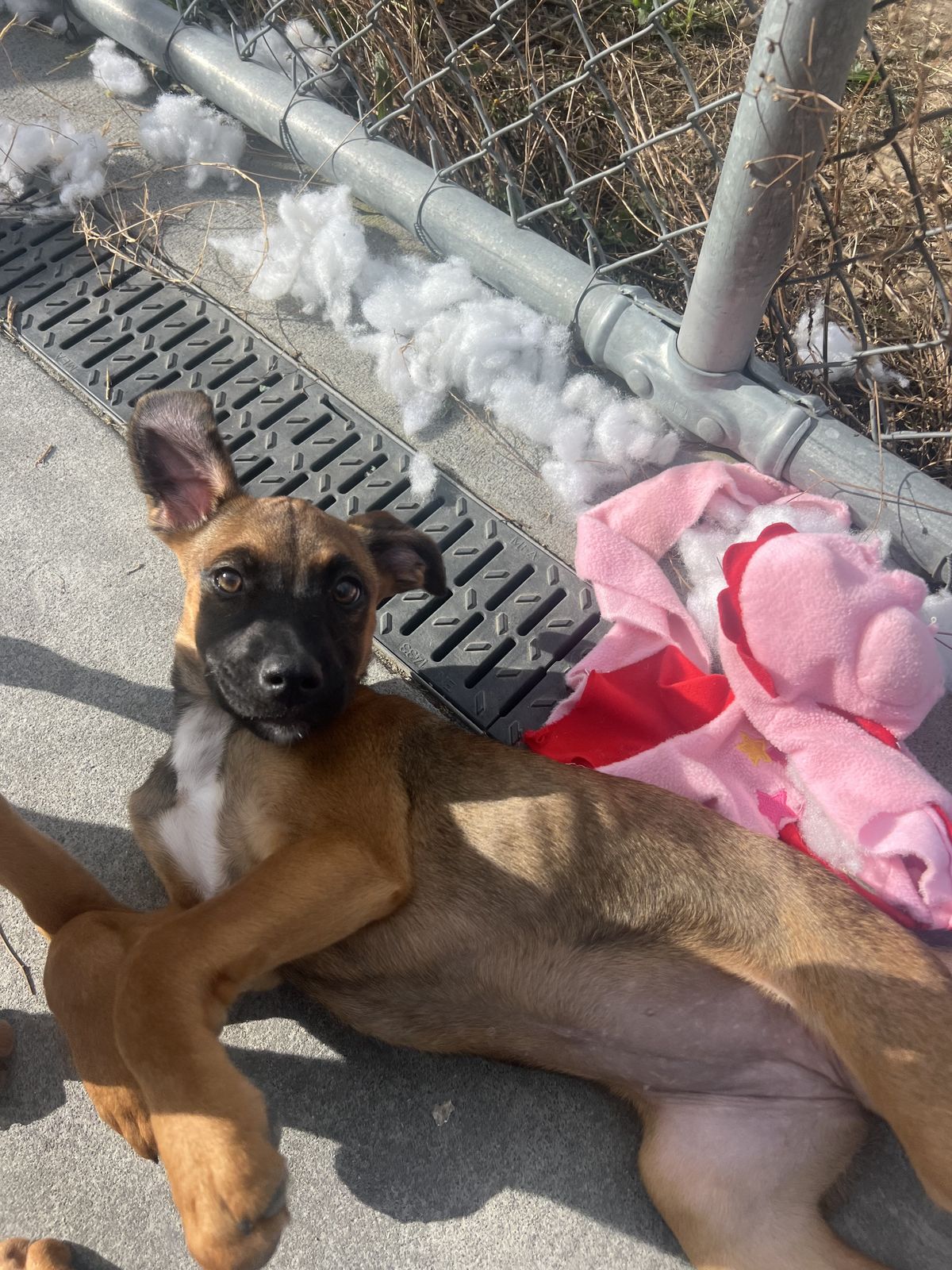 Gallery image: Dakota