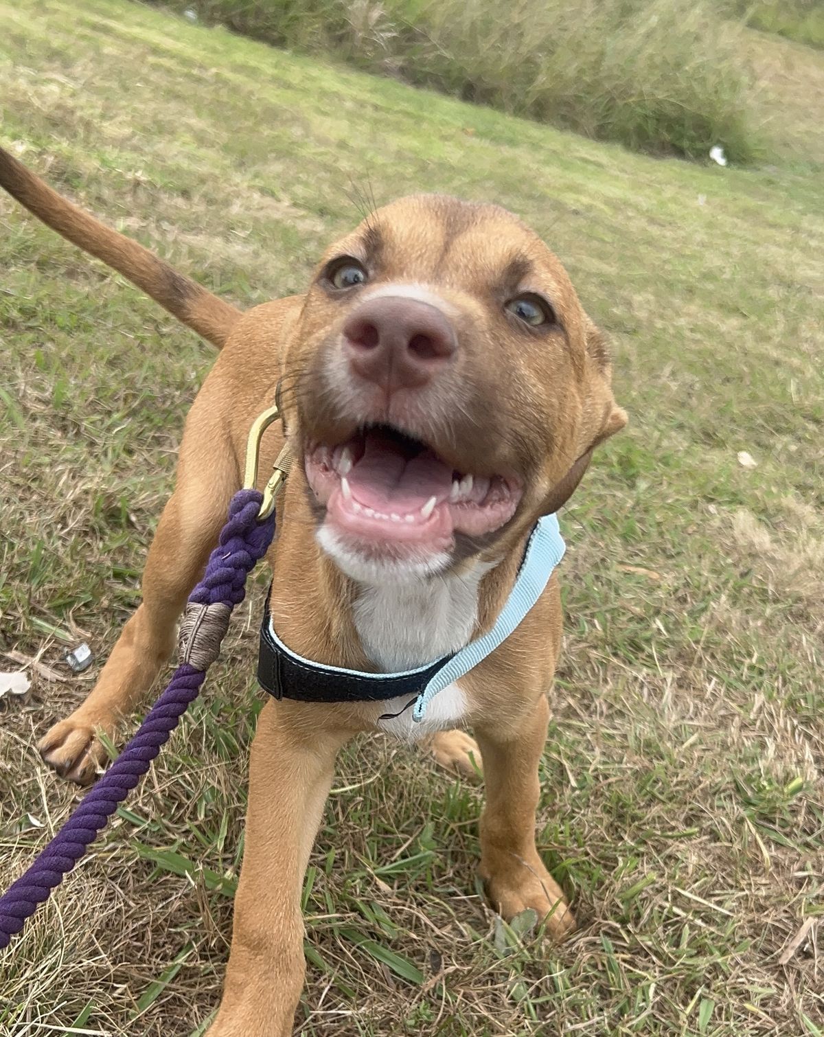 Gallery image: Colorado 