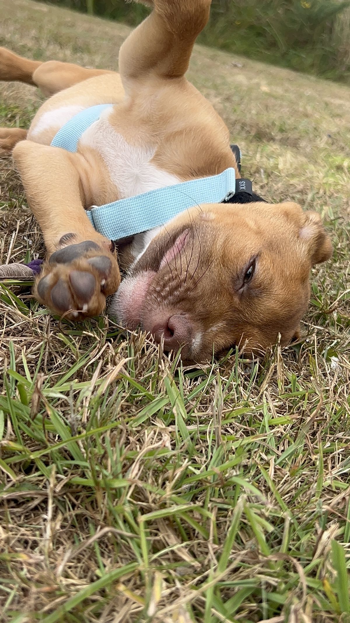 Gallery image: Colorado 