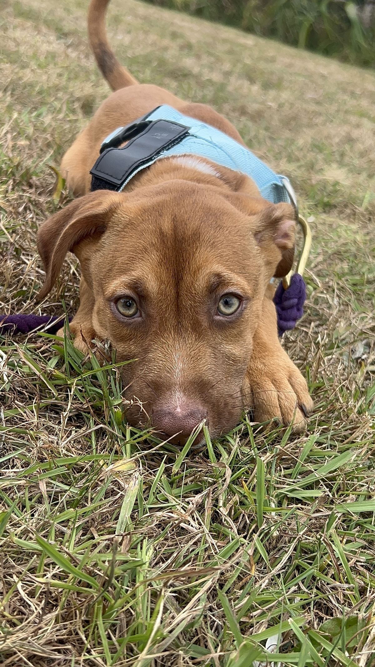 Gallery image: Colorado 