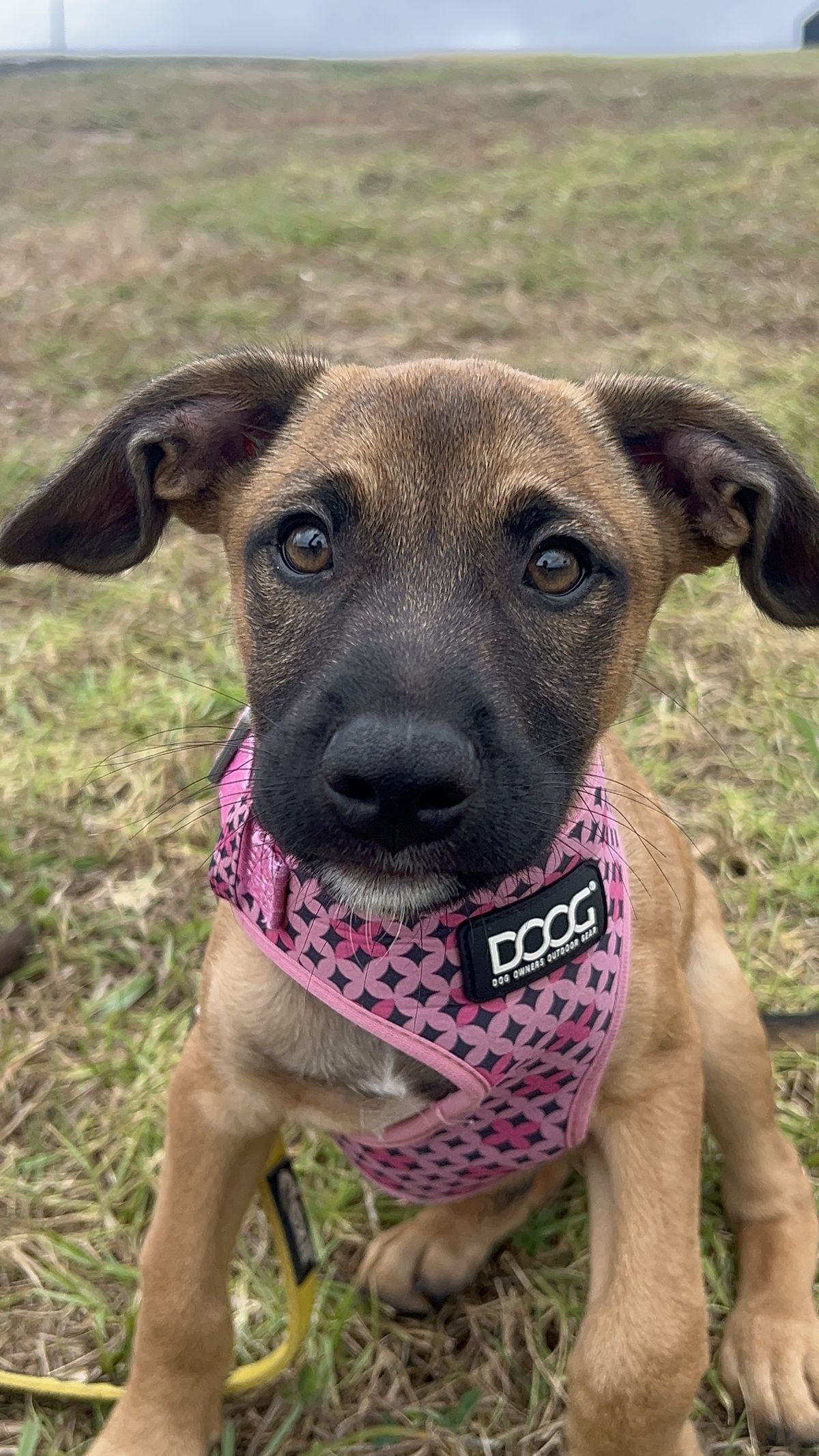 Gallery image: Texas