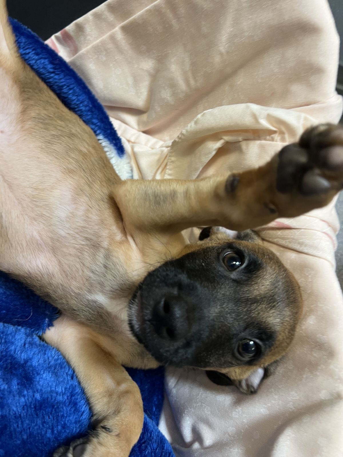 Gallery image: Texas