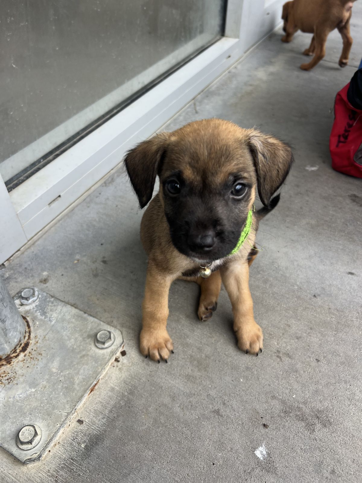 Gallery image: Texas