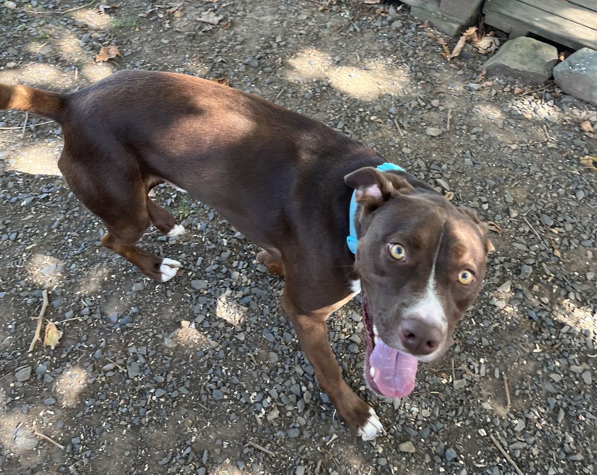 Gallery image: Titan