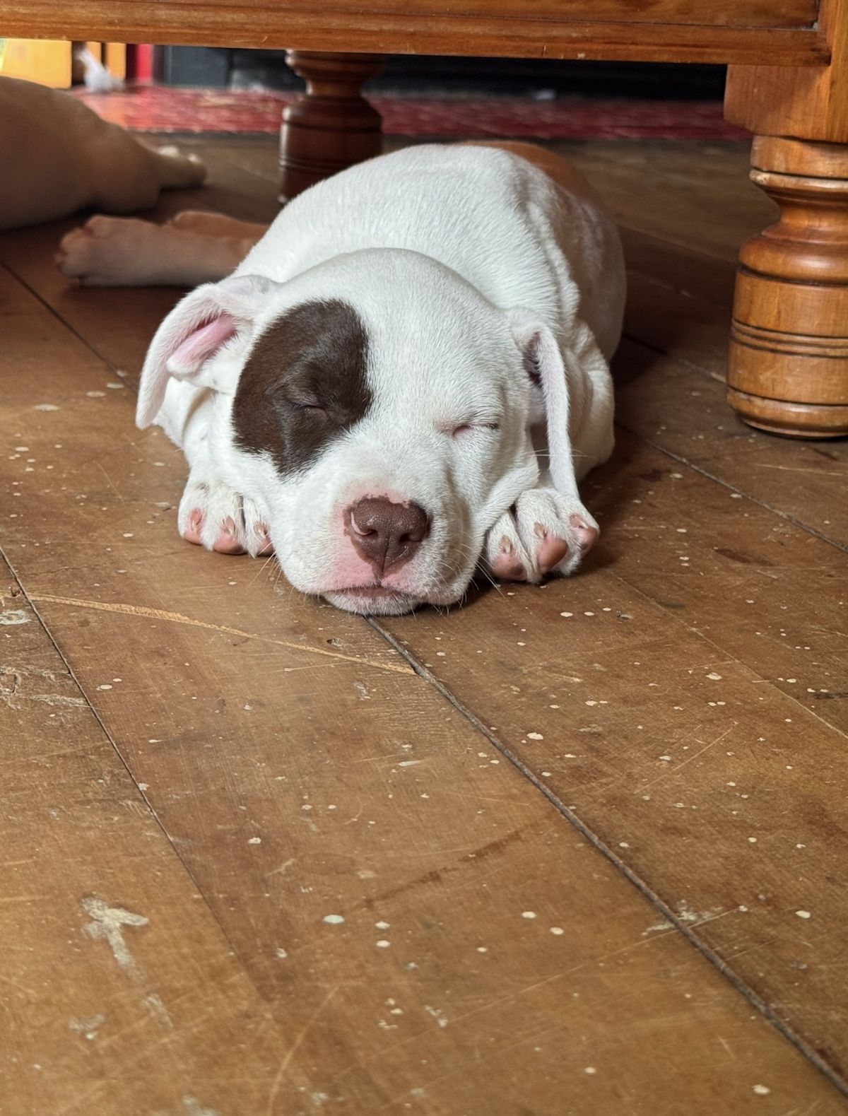 Gallery image: Felicity