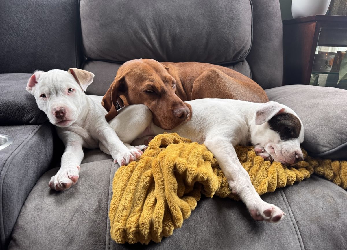 Gallery image: Felicity