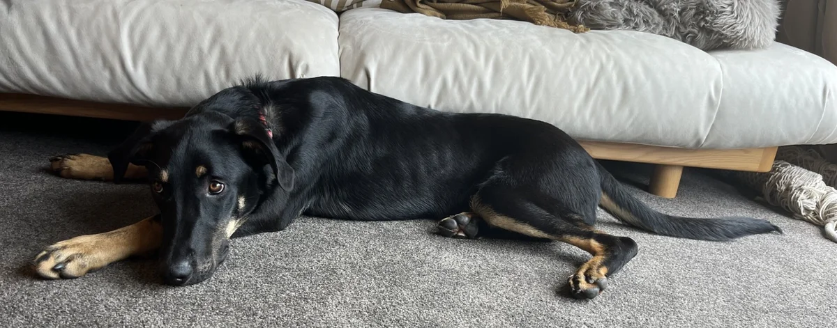 Gallery image: Tanggol