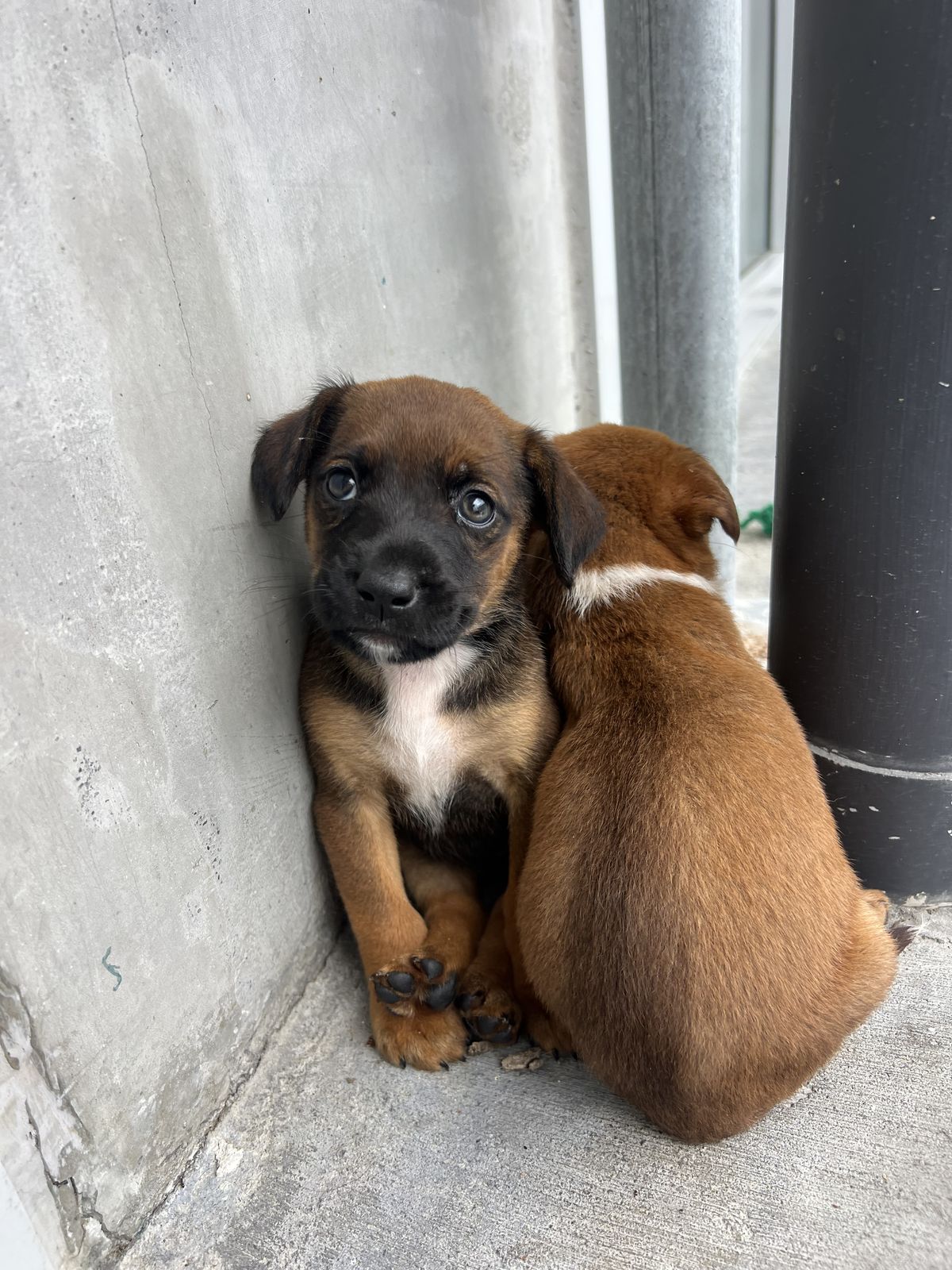 Gallery image: Dakota