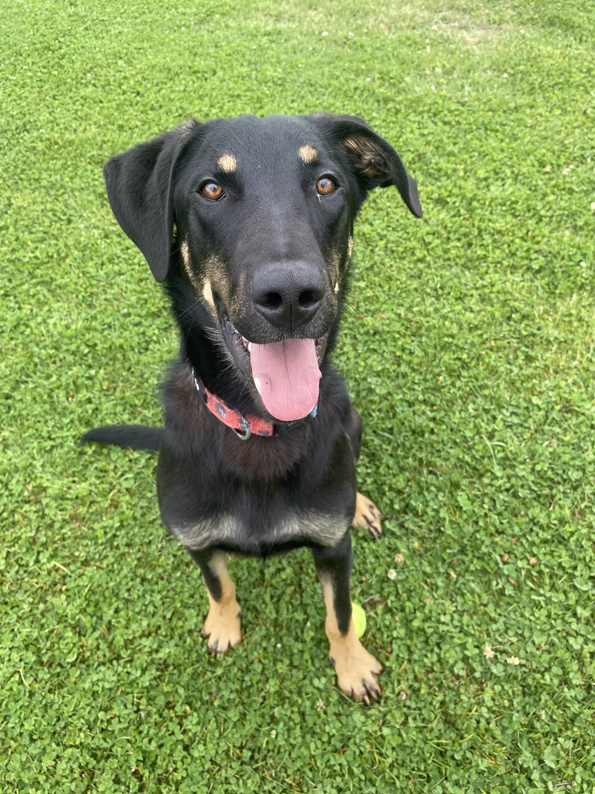 Gallery image: Tanggol