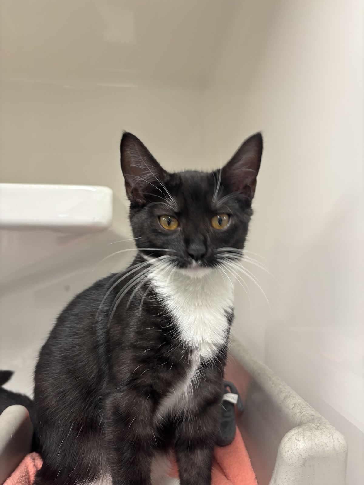 Gallery image: Daria