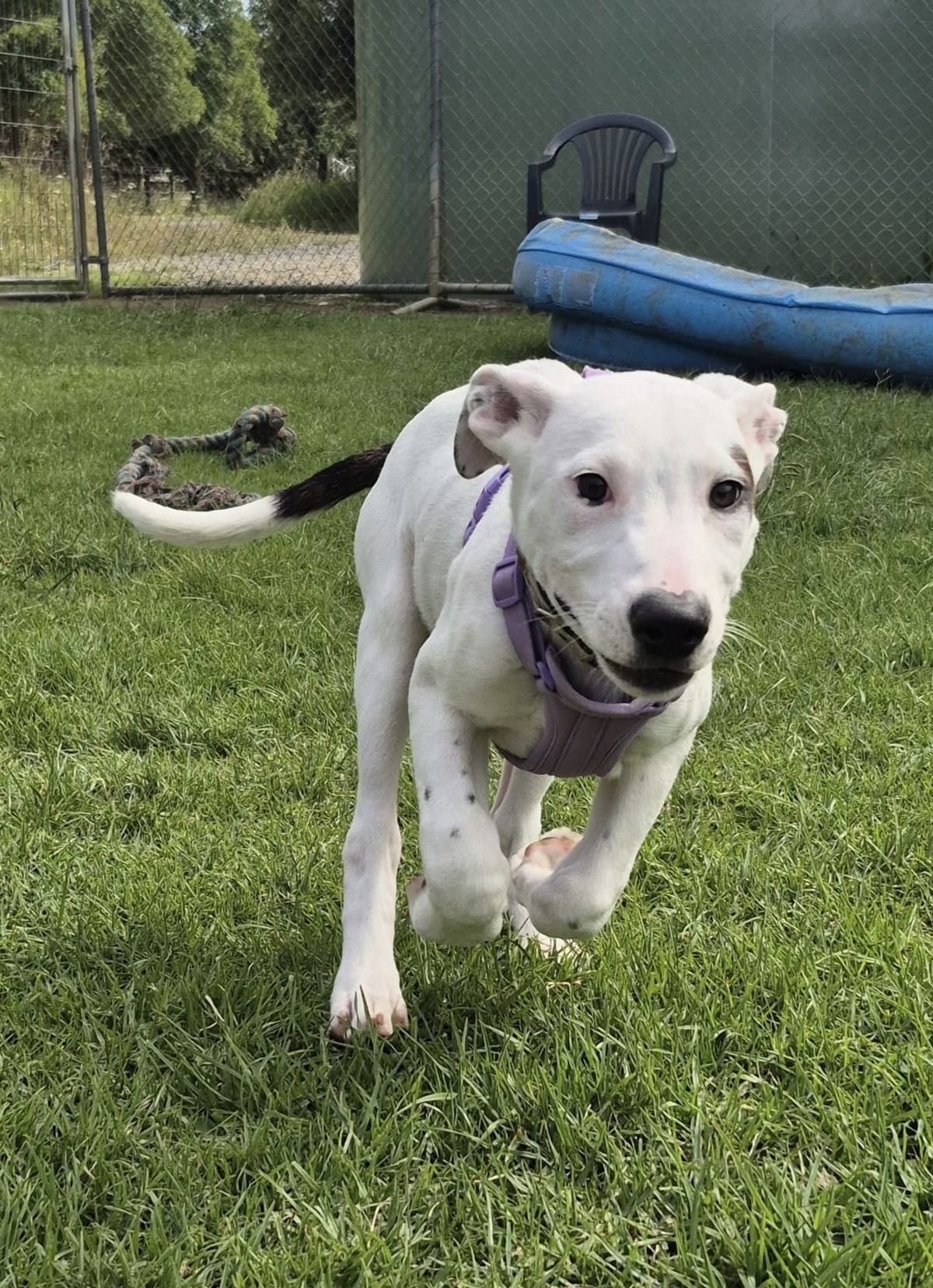 Gallery image: Syrup