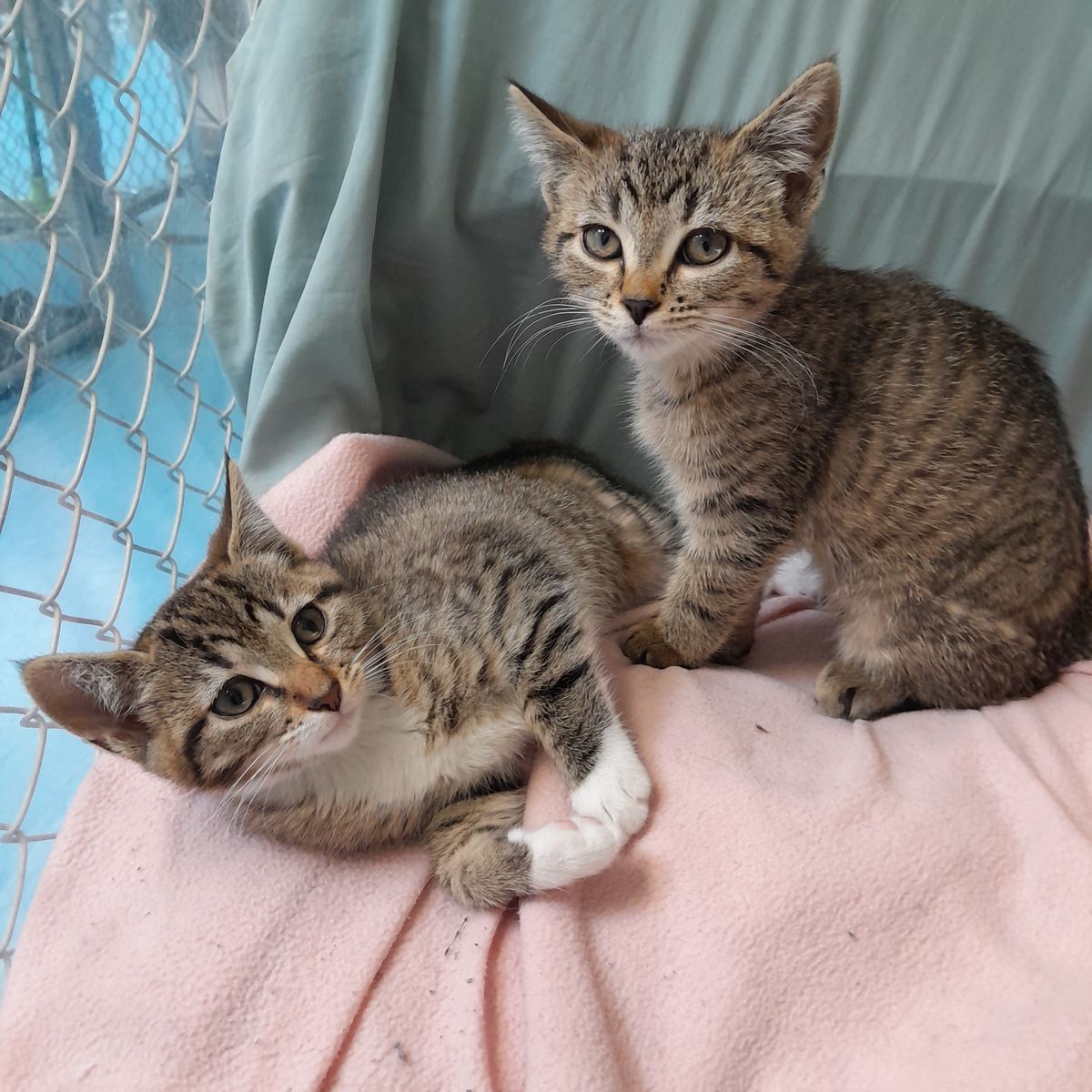 Gallery image: Puskin