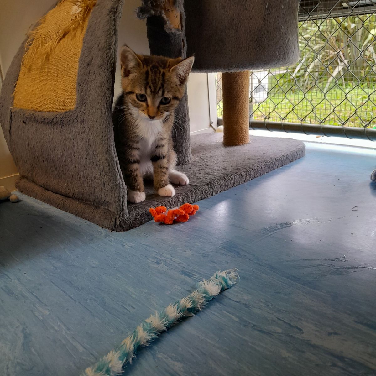 Gallery image: Mingming