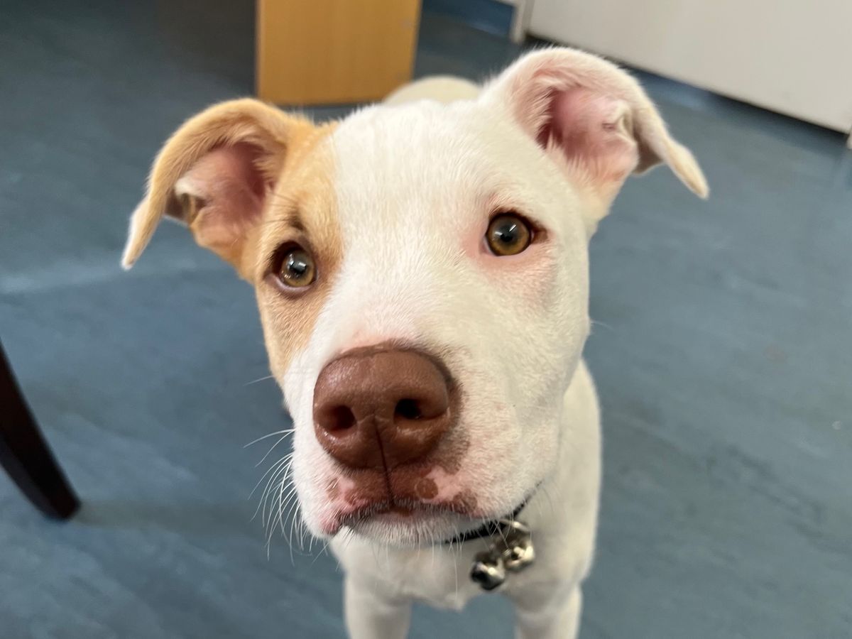 Gallery image: Radar