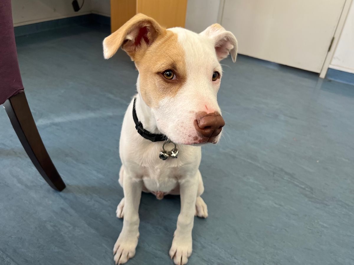 Gallery image: Radar